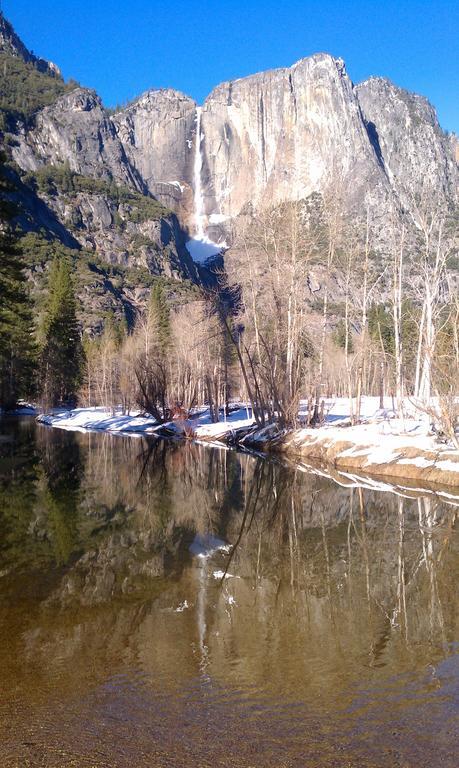 Nature'S Inn Bed And Breakfast Ahwahnee Exterior foto