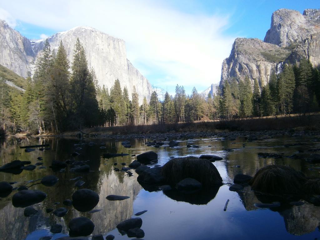 Nature'S Inn Bed And Breakfast Ahwahnee Exterior foto